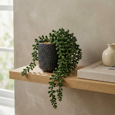 Candlelight Green 11Cm String Of Pearls Pot With Artificial Plant In Black Debossed Ceramic Pot - image 1
