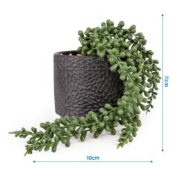 Candlelight Green 11Cm String Of Pearls Pot With Artificial Plant In Black Debossed Ceramic Pot - thumbnail 6