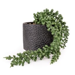 Candlelight Green 11Cm String Of Pearls Pot With Artificial Plant In Black Debossed Ceramic Pot - thumbnail 2