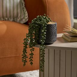 Candlelight Green 11Cm String Of Pearls Pot With Artificial Plant In Black Debossed Ceramic Pot - thumbnail 7
