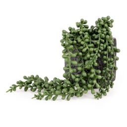 Candlelight Green 11Cm String Of Pearls Pot With Artificial Plant In Black Debossed Ceramic Pot - thumbnail 3