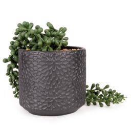 Candlelight Green 11Cm String Of Pearls Pot With Artificial Plant In Black Debossed Ceramic Pot - thumbnail 4