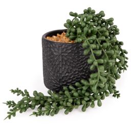 Candlelight Green 11Cm String Of Pearls Pot With Artificial Plant In Black Debossed Ceramic Pot - thumbnail 5