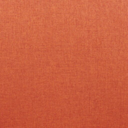Wyld And Coco Set Of 2 Retro Dining Chairs Orange Upholstered With Black Powder-Coated Legs - thumbnail 9