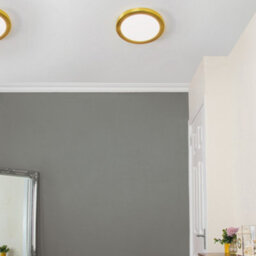 Litecraft Brass Magnetic Bezel For 18W Darly Bathroom Flush Ceiling Light - thumbnail 1