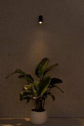 Luminosa Lighting Luminosa Plom Outdoor Wall Spotlight 7W 3000K Ip54 - thumbnail 2