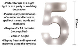 St Helens Home And Garden Battery Operated 3D Led Number 5 Light - thumbnail 2