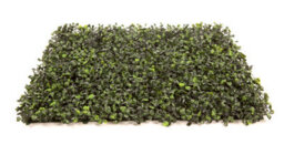 Pack Of 12 Best Artificial Boxwood Hedging Mats 50Cm X 50Cm (3 Square Metres) Privacy Garden Screen - thumbnail 7