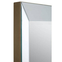 Orsina Champagne Large Rectangle Wall Mirror, Wardrobe Wall Mirror, Decorative Room Mirror, Wall Mounted Mirror - thumbnail 4