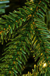 Christmas Tree World The 14Ft Woodland Pine Tree With Hinged Branches - thumbnail 8