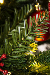 Christmas Tree World The 14Ft Woodland Pine Tree With Hinged Branches - thumbnail 7