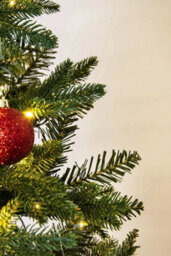 Christmas Tree World The 14Ft Woodland Pine Tree With Hinged Branches - thumbnail 6