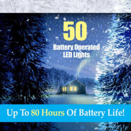 Indoor Copper Wire Lights- Cold White- Christmas Lights (50) - thumbnail 4