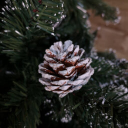 Samuel Alexander 8Ft (2.4M) Tall Rocky Mountain Pine Christmas Tree With 1769 Snow Tipped Branches & Pinecones - thumbnail 6