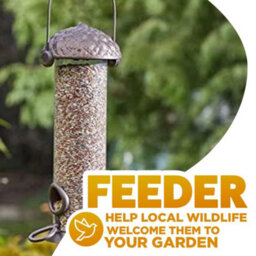 Marco Paul 26Cm Acorn Bird Feeders - thumbnail 3
