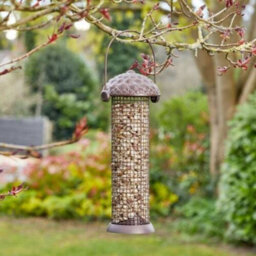 Marco Paul 26Cm Acorn Bird Feeders - thumbnail 1