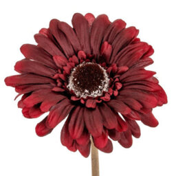 Wyld Haus Set Of 3 Burgundy Artificial Gerbera Stems Lifelike Silk Flower Stems For Home Decor - thumbnail 2