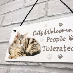Red Ocean Cat Signs For Home Funny Hanging Cat House Sign Animal Cat Lover Gifts - thumbnail 7