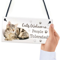 Red Ocean Cat Signs For Home Funny Hanging Cat House Sign Animal Cat Lover Gifts - thumbnail 6