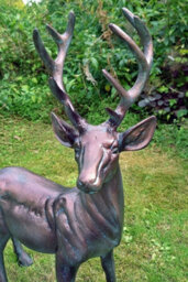 Standing Stag Buck Ornament Cast From Aluminium - thumbnail 4