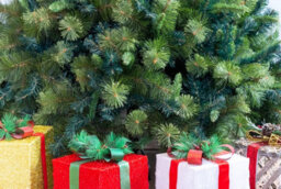 Shatchi 7Ft Pre-Lit Kentucky Pine Luxurious Artificial Green Christmas Tree - thumbnail 5