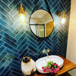 Industville Brooklyn Outdoor & Bathroom Wall Light, Brass Holder, Brass Ring - thumbnail 3