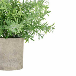 Hill Interiors Rosemary Potted Stone Effect Faux Plant - thumbnail 4