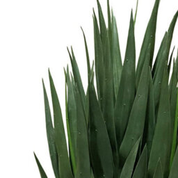Leaf 70Cm Artificial Yucca Plant  Potted In Plastic Pot - thumbnail 3