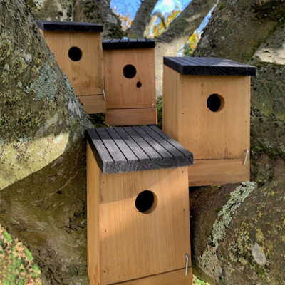 Selections Traditional Wooden Bird Box Nest Birdhouses With Removable Bases (Set Of 4) - image 1