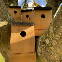 Selections Traditional Wooden Bird Box Nest Birdhouses With Removable Bases (Set Of 4) - thumbnail 3