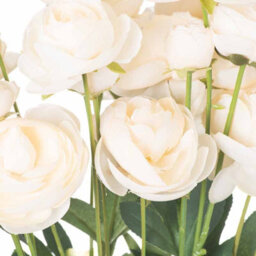 Hill Interiors Uk Homeliving Cream Ranunculus - thumbnail 5