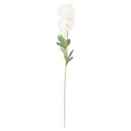 Hill Interiors Uk Homeliving Cream Ranunculus - thumbnail 3