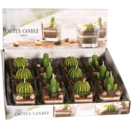 2 Piece Decorative Cactus Plant Candle Tea Light Candles In Glass Home Decor - thumbnail 2