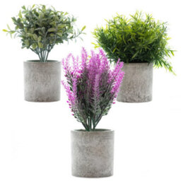Woodside Pack Of 3 Mini Potted Artificial Indoor Plants For Home And Office - thumbnail 3