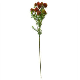Leaf Pack Of 6 X 55Cm Craspedia Stem Red Artificial - thumbnail 3
