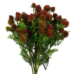 Leaf Pack Of 6 X 55Cm Craspedia Stem Red Artificial - thumbnail 1