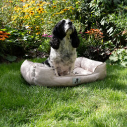All Pond Solutions Allpetsolutions Dexter Waterproof Dog Bed Cream- Size Large - thumbnail 4