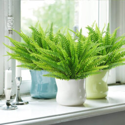 Amorly 12Pcs Artificial Boston Fern, 7 Forks Fake Boston Fern Greenery Stems, Artificial Fern Plant For Home Garden Wedding Party Decor - thumbnail 6