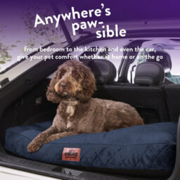 Slumberdown Dog Bed Large, Blue - thumbnail 7