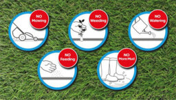 St Helens Home & Garden St Helens Home And Garden Artificial Grass 1 X 4M- 20mm Pile Height - thumbnail 5