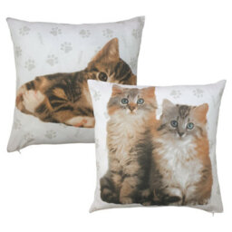 Cute Kittens Hana Pack Of 2 Cushion Covers, Rachael Hale Paw Print Meow Cats - thumbnail 2