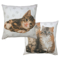 Cute Kittens Hana Pack Of 2 Cushion Covers, Rachael Hale Paw Print Meow Cats - thumbnail 1