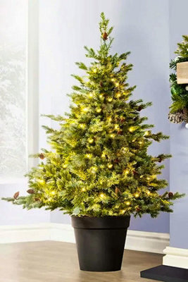 Christmas Tree World The 4Ft/120Cm Pre-Lit Cairngorm Pine Potted Tree (Outdoor) - image 1