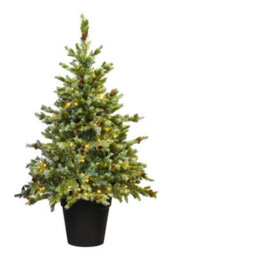 Christmas Tree World The 4Ft/120Cm Pre-Lit Cairngorm Pine Potted Tree (Outdoor) - thumbnail 5