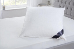 "Littens 80Cm X 80Cm Extra Fill Euro Continental Duck Feather & Down Pillow (32"" X 32"")" - thumbnail 2