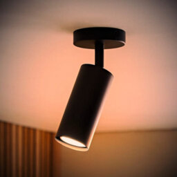 Valuelights Taylor Matte Black Tube Single Adjustable Ceiling Spotlight And Bulb - thumbnail 1