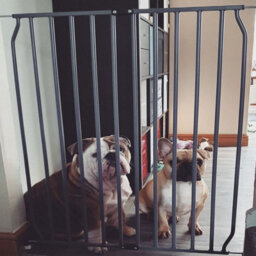 Bettacare Screw Fit Metal Dog Gate, Grey, 120Cm - 130Cm - thumbnail 7