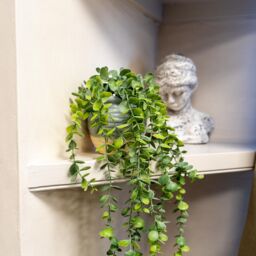 Candlelight Green 50Cm Eucalyptus Artificial Plant In Grey Ceramic Pot - thumbnail 4