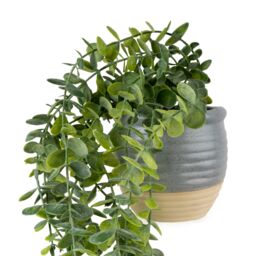 Candlelight Green 50Cm Eucalyptus Artificial Plant In Grey Ceramic Pot - thumbnail 3