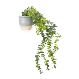 Candlelight Green 50Cm Eucalyptus Artificial Plant In Grey Ceramic Pot - thumbnail 2